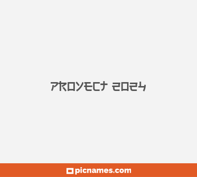 Proyect 2024